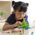 Plan Toys Balancing Tree | Conscious Craft