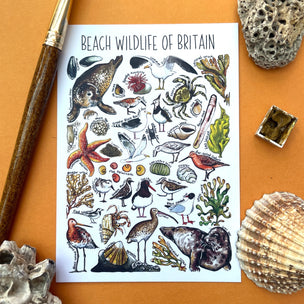 Alexia Claire Beach Wildlife | Postcard