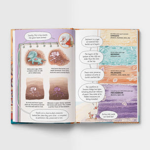 Open book with educational content on rock layers and fossils