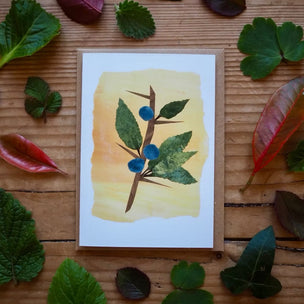 Blackthorn postcard 