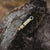 Our Earth Life | Brass Whistle