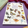 Alexia Claire Butterflies Wildlife Spotting Notepad