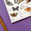 Alexia Claire Butterflies Wildlife Spotting Notepad