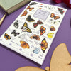 Alexia Claire Butterflies Wildlife Spotting Notepad