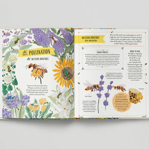 Open book with illustrations of flowers and bees on a white background