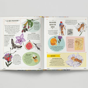 Open book with educational illustrations on pollination on a white background