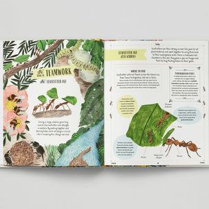 Open book with illustrations of ants and nature on a white background