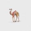 Wild Animals Wall Art | Camel