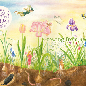 A Year & a Day Issue © No 5: Growing from Seed | Conscious Craft