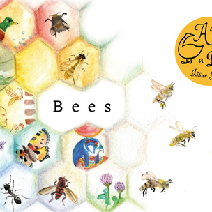 A Year & a Day ©  Issue No 6: Bees | Conscious Craft