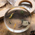 Lifecycle of A Cabbage Butterfly Specimen Disc