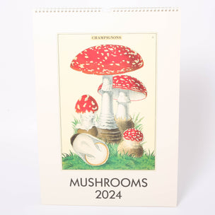 Cavallini Wall Calendar | Mushrooms | Conscious Craft