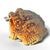 Desert Spadefoot Toad