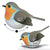 EUGY Robin | Kids Cardboard Craft Kit