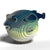 EUGY Pufferfish | Kids Cardboard Craft Kit
