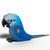 Spix's Macaw