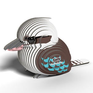 Kookaburra