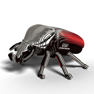 EUGY Goliath Beetle | Kids Cardboard Craft Kit