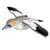 Gannet