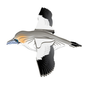 Gannet