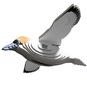 Gannet