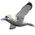 Gannet