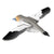 Gannet