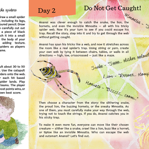 Issue No 23 Autumn: Spiders & Webs