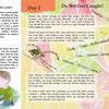 Issue No 23 Autumn: Spiders & Webs