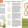 Page from a book teaching how to draw the number eight with a spider illustration on the left.