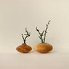 Wooden Story Natural Decor Flower Pot No.05 | Conscious Craft