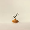 Wooden Story Natural Decor Flower Pot No.05 | Conscious Craft