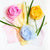 Sarah's Silks Playsilk Dye Kit | Conscious Craft