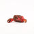 EUGY Crab | Kids Cardboard Craft Kit