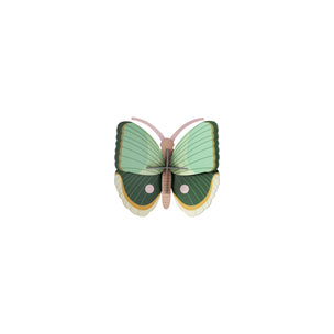 Fern Striped Butterflies