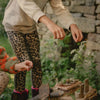 Den Kit Company The Fairy Garden Kit