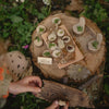 Den Kit Company The Fairy Garden Kit