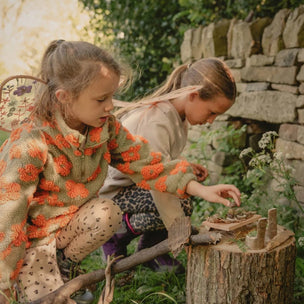 Den Kit Company The Fairy Garden Kit