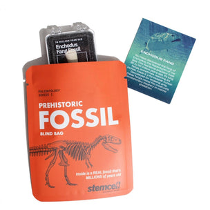 Stemcell Science Fossil Blind Bag