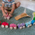 Child playing with a wooden toy train set on a rug