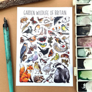 GardenWildlife_Postcard