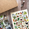 Alexia Claire Hedgerow Wildlife of Britain | Postcard