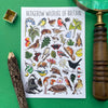 Alexia Claire Hedgerow Wildlife of Britain | Postcard