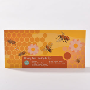 Honeybee Life Cycle | Conscious Craft