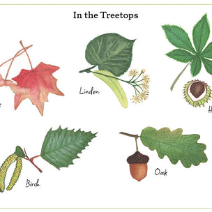 Issue No 19: In The Treetops
