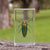 Jewel Beetle Specimen
