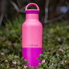 Pink and purple water bottle on green grass