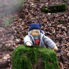 Toy figure in winter clothing sitting on a mossy rock in a forest setting
