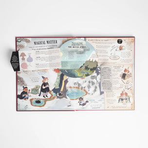 Educational chart on a white background with illustrations and text.