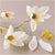 Mini Craft Kit Paper Magnolia Branch